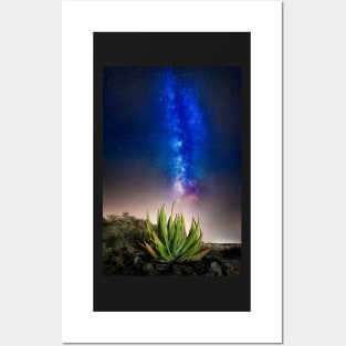 Aloe Vera Plant with Milky Way Posters and Art